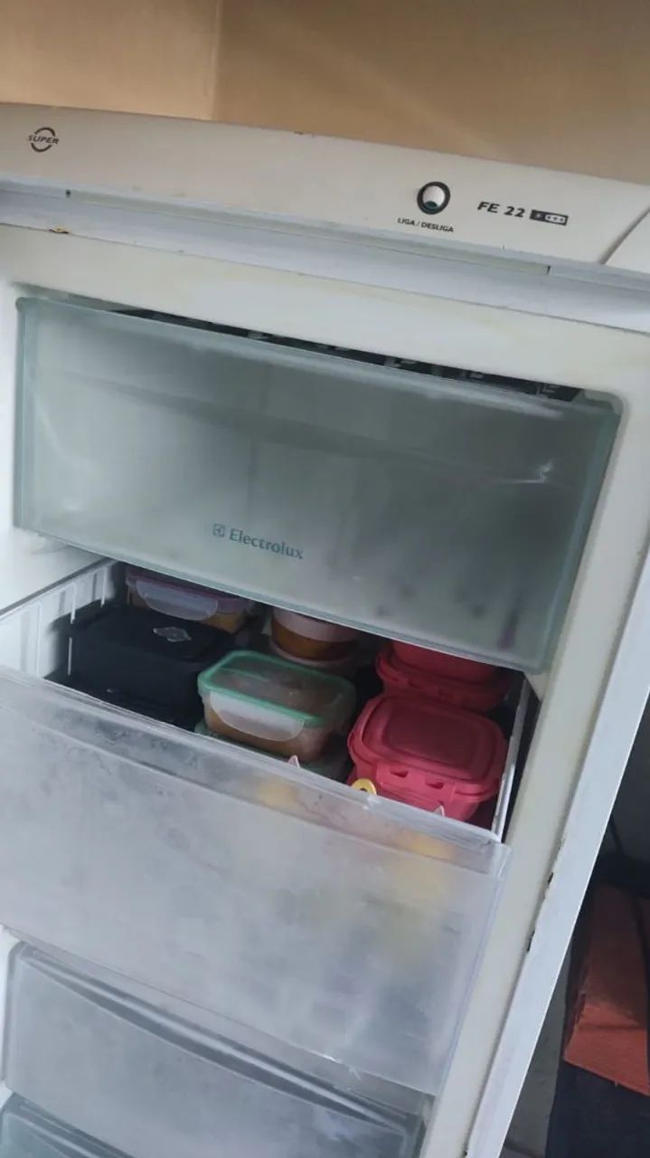 Freezer Vertical Electrolux