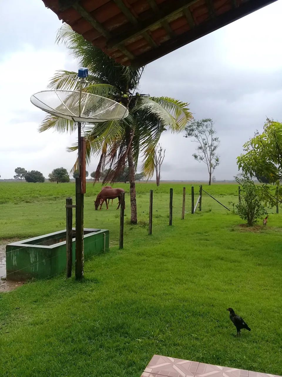 VENDO FAZENDA.   - Foto 4