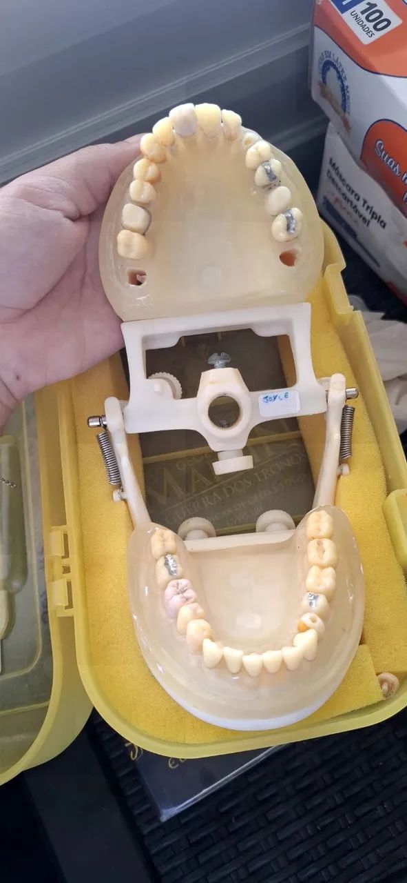 Manequim Periodontia Pronew - Foto 3