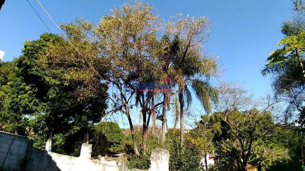 Terreno com 2.555 m2 de área - Foto 2