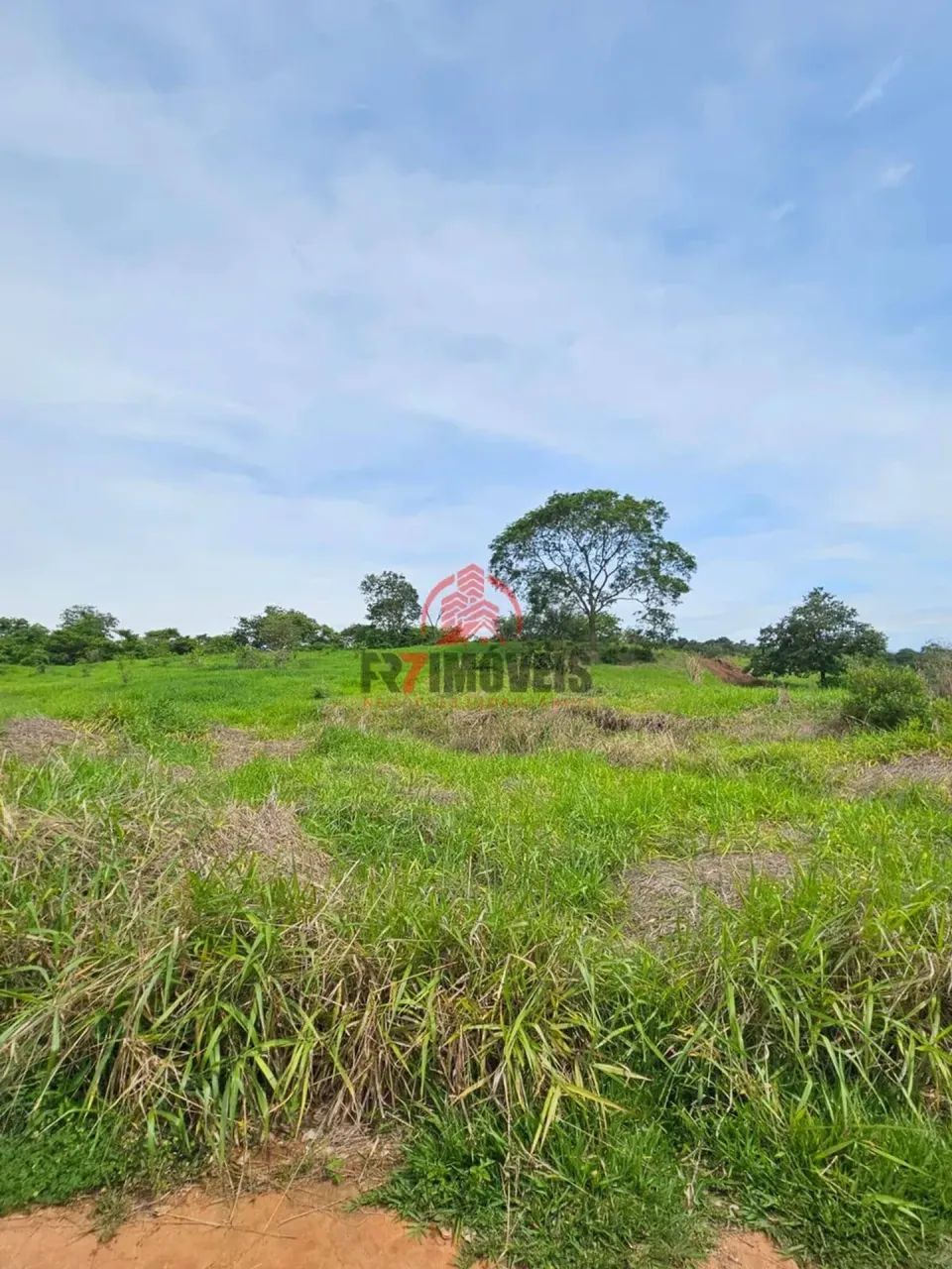 CHÁCARA EM SANTO ANTÔNIO DE GOIÁS  GO - Foto 3