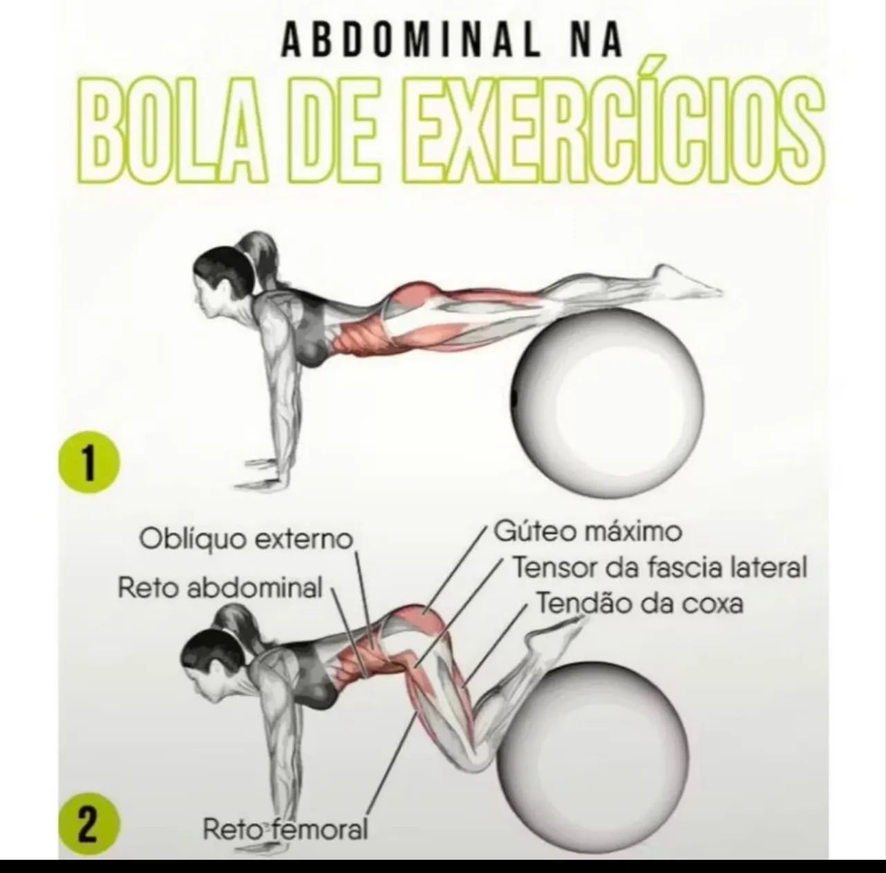 Bola pilates 