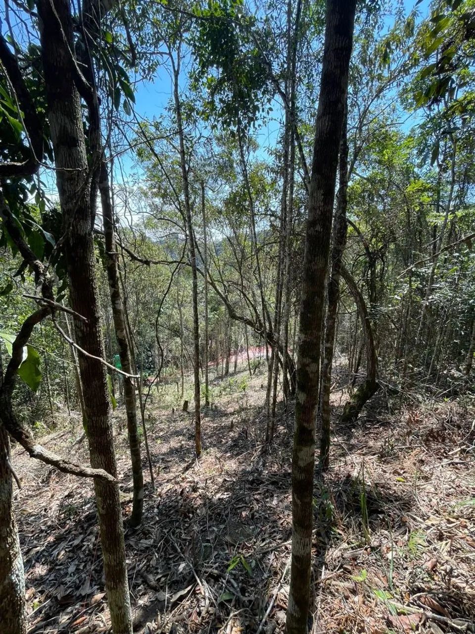 CHÁCARA  d martins - Foto 4