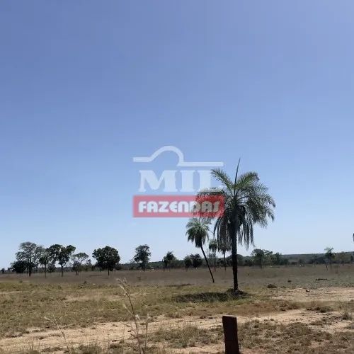Fazenda em Nova Crixas-GO de 140 Alqueires - Foto 2