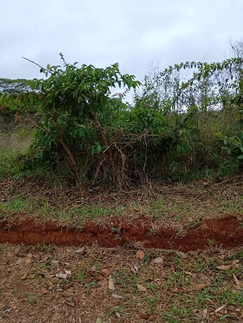Chacreamento água boa  - Foto 3