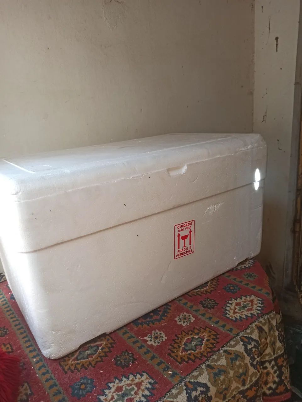 Caixa de Isopor 180 LTS com dreno