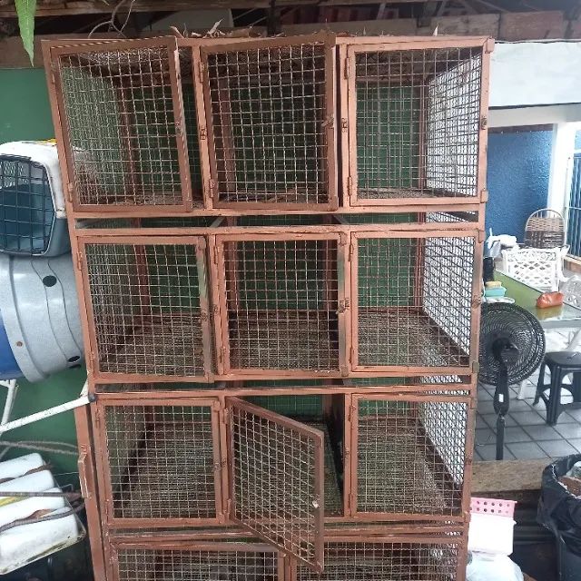 Gaiola de cachorro