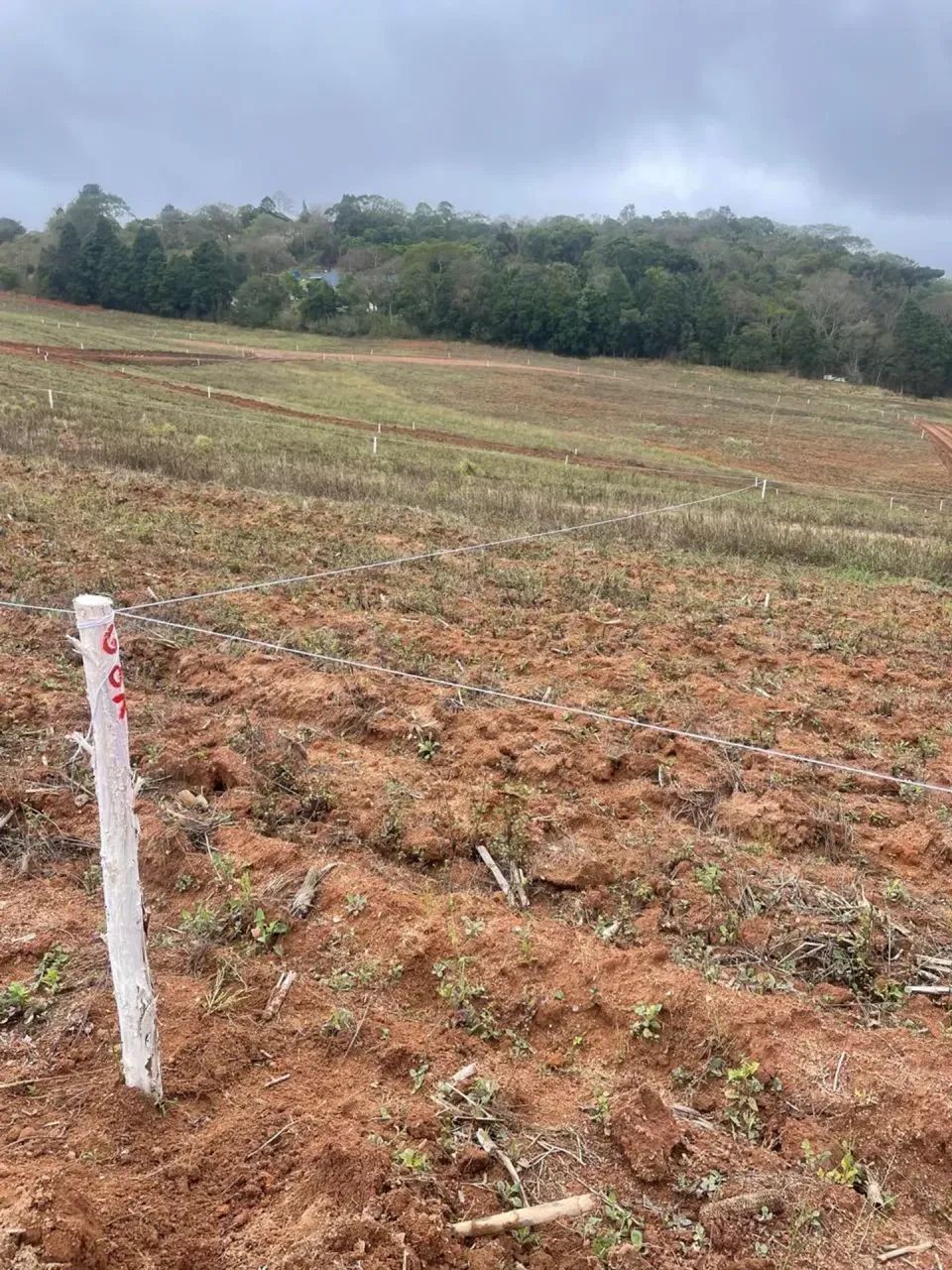85M- SEU LAZER E MORADIA ESTÁ EM COTIA - Foto 2