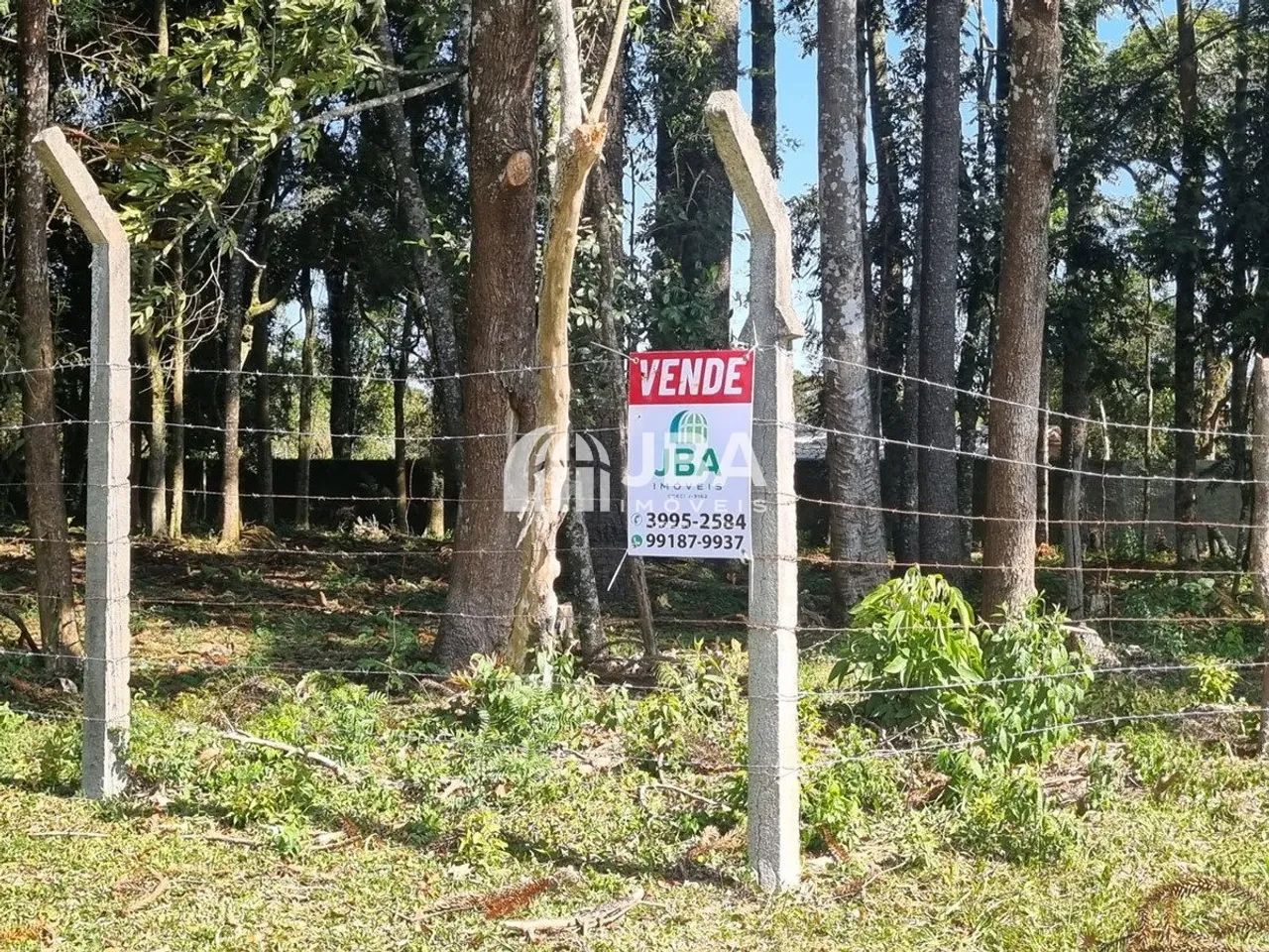 ÁREA VERDE PLANA COM FÁCIL ACESSO, OPORTUNIDADE! - Foto 3