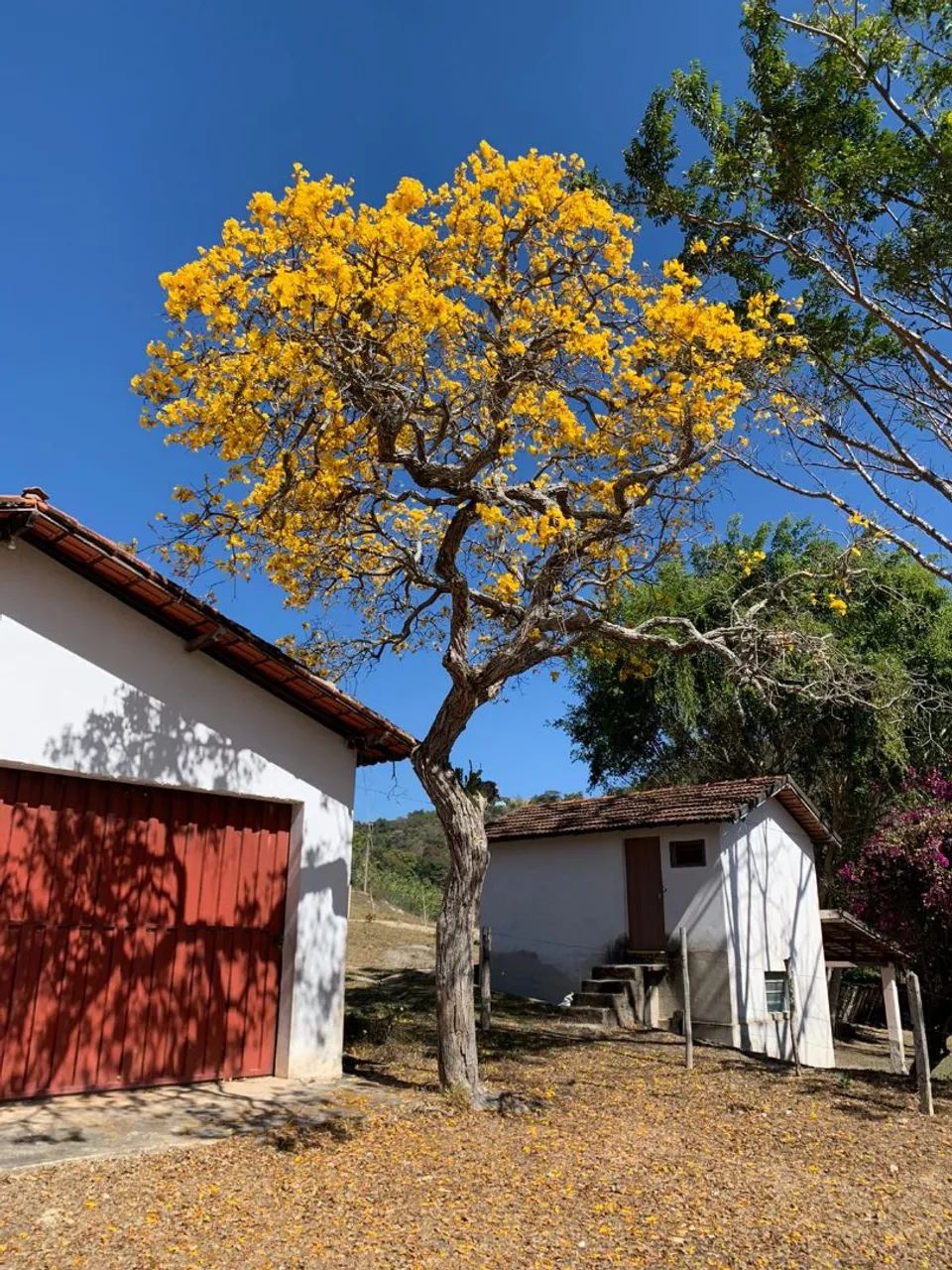 Lindo Sítio ao lado de Belo Horizonte. - Foto 4
