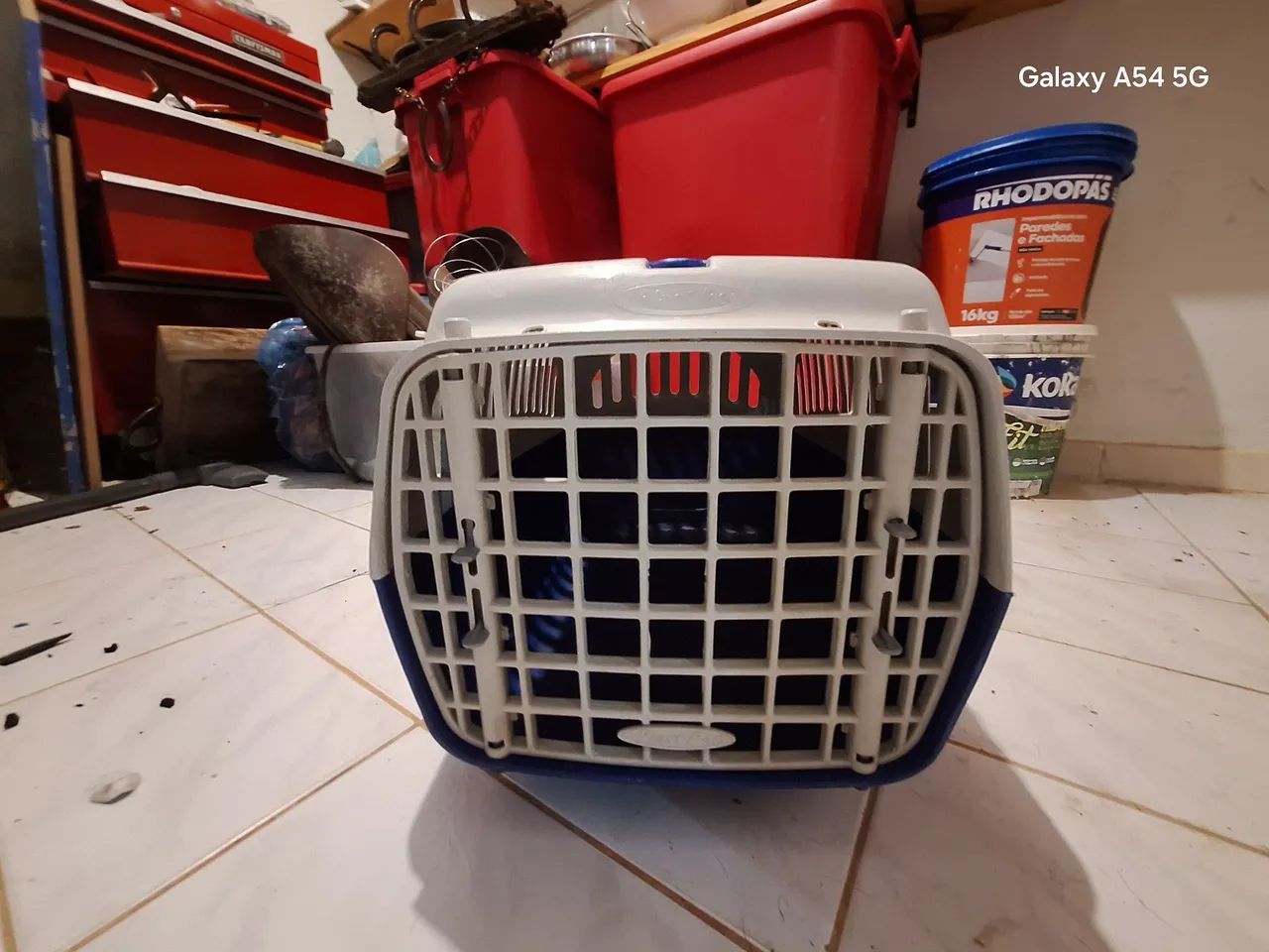 Caixa de transporte para pet n2 - Foto 4