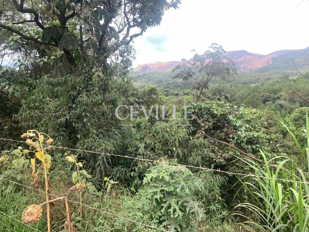 oportunidade de sitio a venda - Foto 7