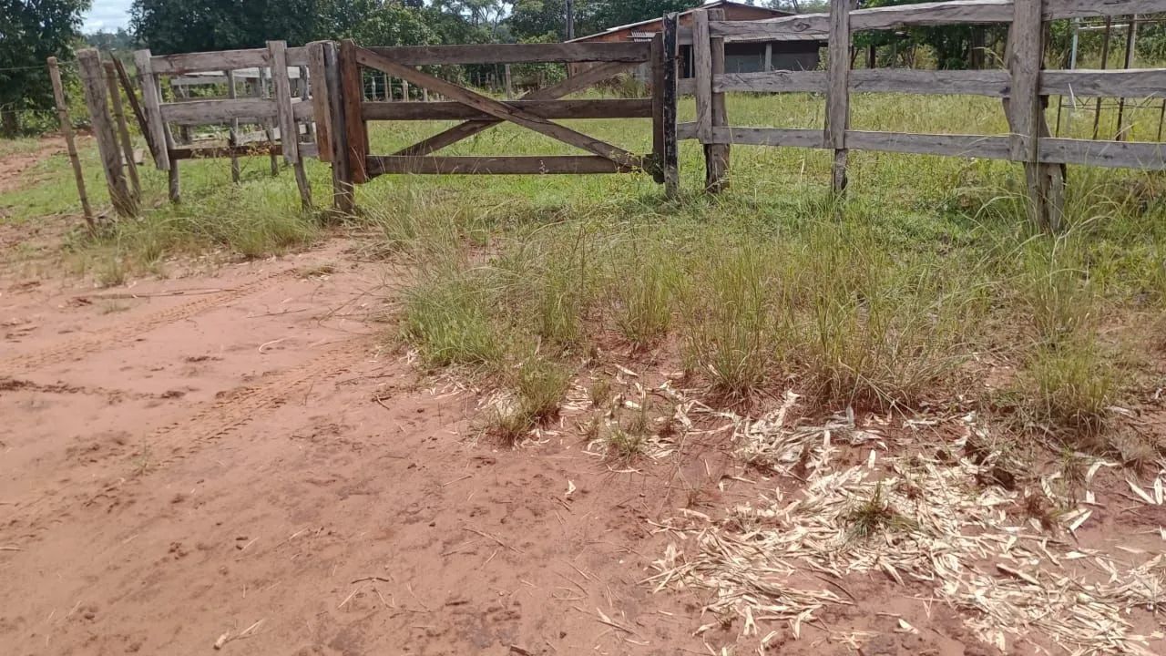 Vendo sitio de 12 hectares e meio - Foto 2