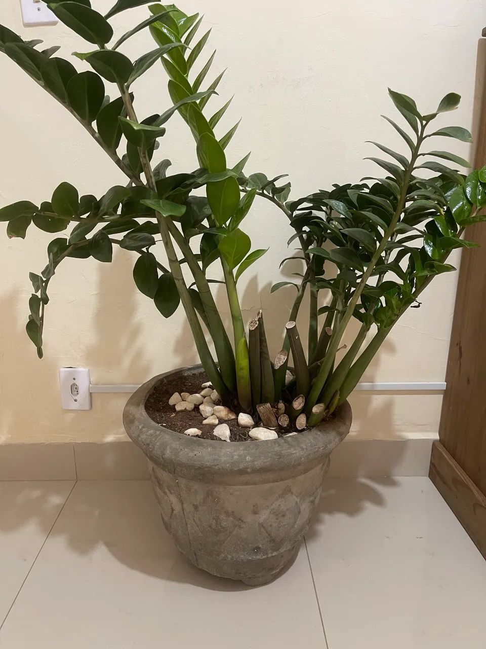 Vaso de flor  - Foto 2