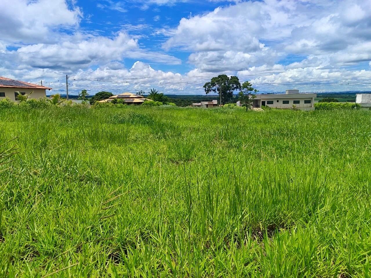 Foto - Santo Antônio de Goiás - 
