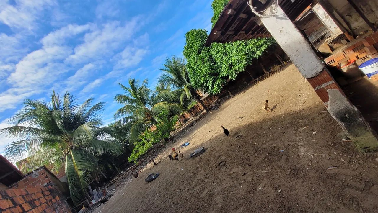 TERRENO GRANDE E DE QUALIDADE  - Foto 3