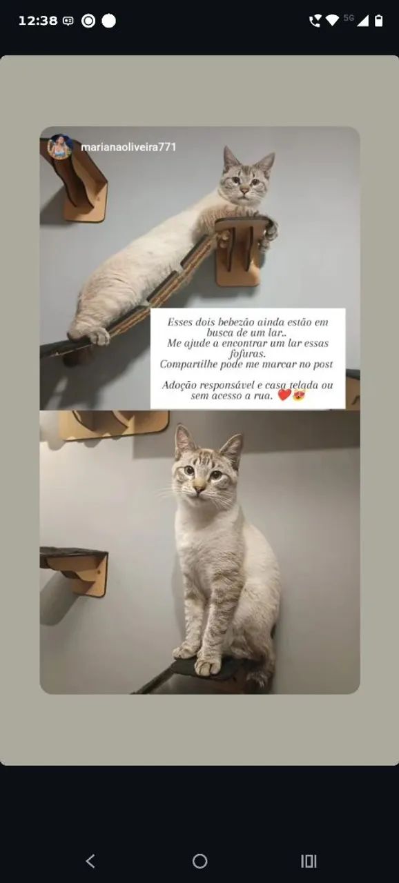 Doação 