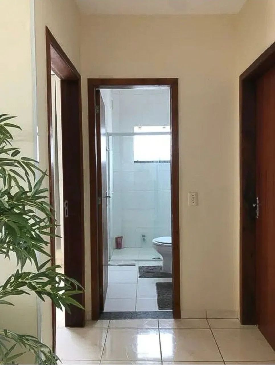 Procurando colega de apartamento