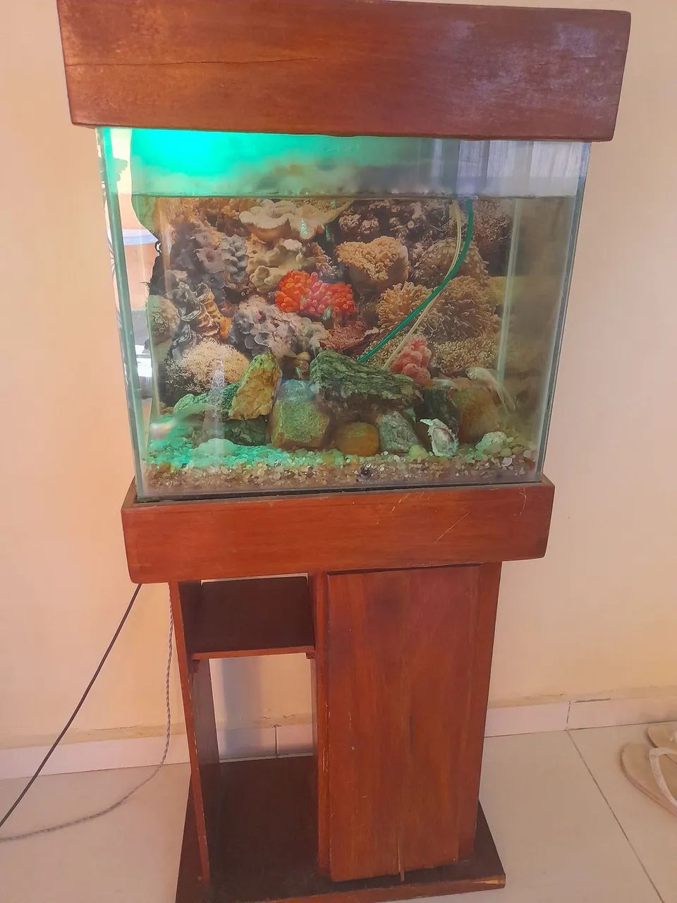 Aquário completo