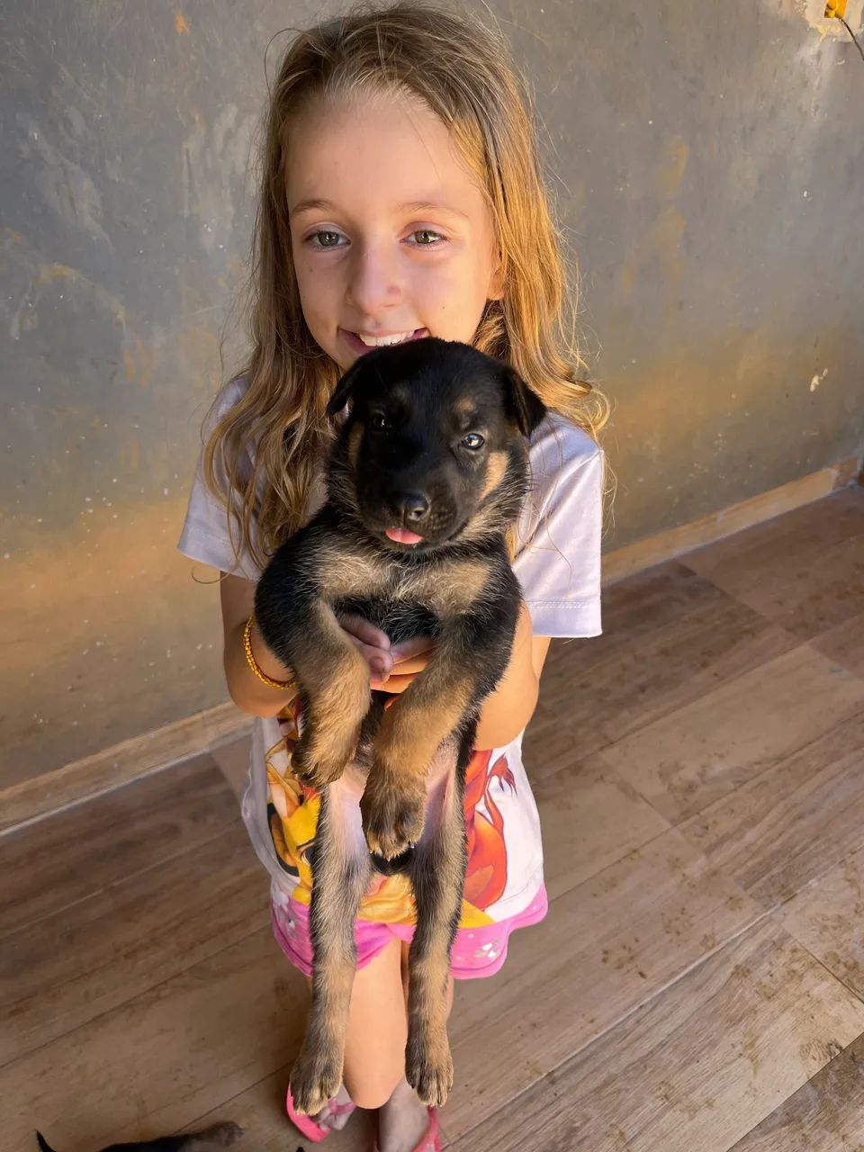 Vende -se cachorro  - Foto 3