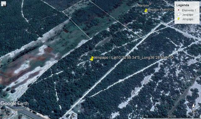 Jenipapo 840.000m2 pasto e floresta nativa - Foto 4