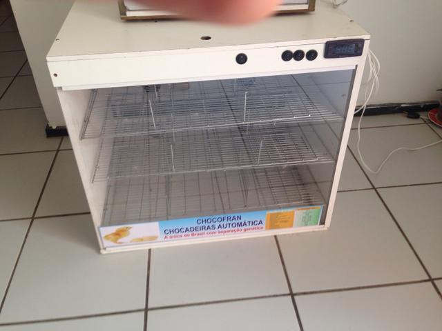 Chocadeira - Foto 2