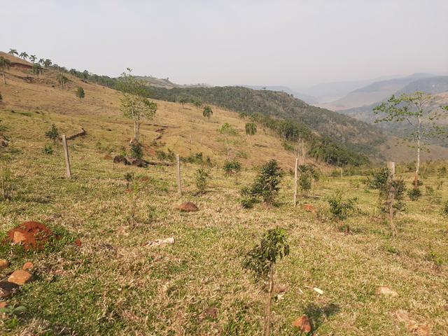 Chácara de 23.5 Alqueires com 22.5 alqueires de pasto - Faxinal do Céu. Pinhão- PR - Foto 18