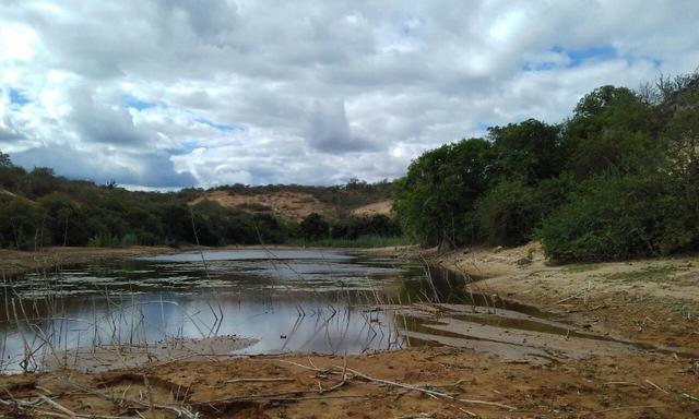 Exploração de Minério , terreno para plantação e criação de gado - Foto 7