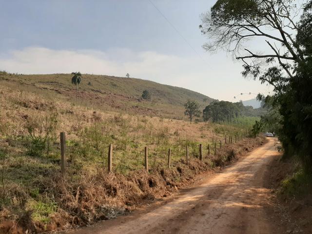 Chácara de 23.5 Alqueires com 22.5 alqueires de pasto - Faxinal do Céu. Pinhão- PR - Foto 3
