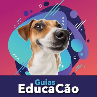 Adestramento Fácil para Cachorros