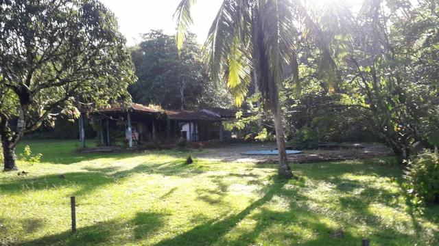 Área com 14 Hectares - Foto 4