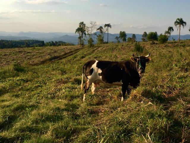 Seu Lazer e de Sua Família esta aqui, nesse Recanto em meio a Natureza