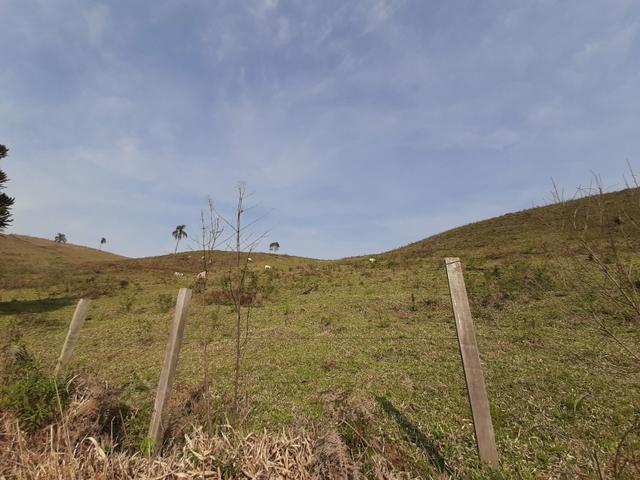 Chácara de 23.5 Alqueires com 22.5 alqueires de pasto - Faxinal do Céu. Pinhão- PR - Foto 9
