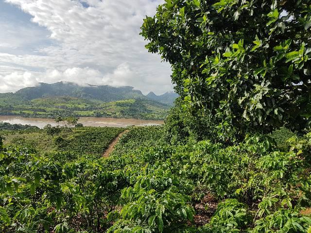 Sítio em Colatina na ES 248 na beira do Rio Doce - Foto 14