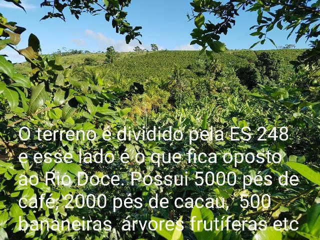 Sítio em Colatina na ES 248 na beira do Rio Doce - Foto 4