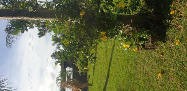 Aluga-se chácara para eventos, festas e lazer em Faxinal-PR - Foto 6
