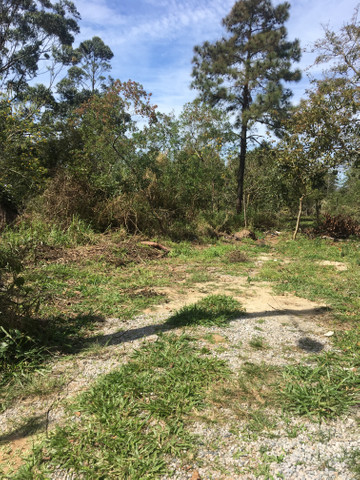 Vendo ou troco terreno Ibiraquera em Imbituba-SC por imóvel na praia do sonho-Palhoça - Foto 16