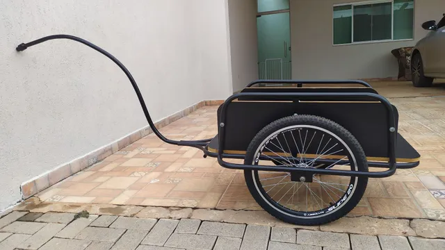 VÍDEO: Um piano de 400 kg, puxado por uma bicicleta, leva música às ruas de  Brasília, Distrito Federal