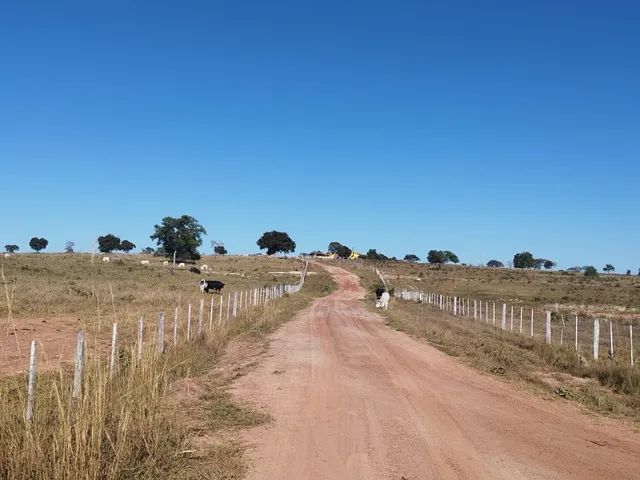 Fazenda de 121 alq em Torixoréu -MT - Foto 4