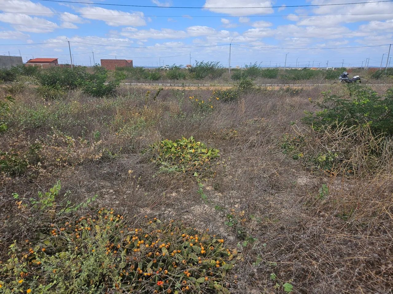 foto - Petrolina - COHAB Massangano