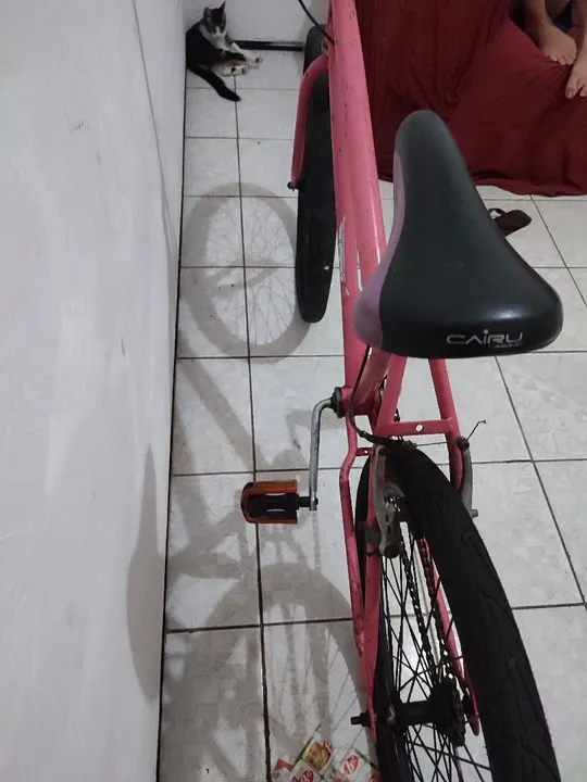Bicicleta rosa revisada