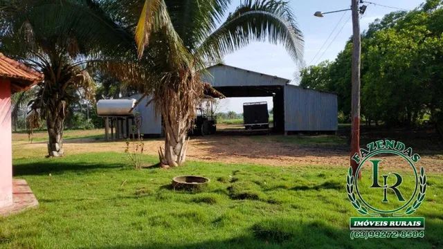 Fazenda 377 Alqueires Tocantins Campos Lindos - Foto 5