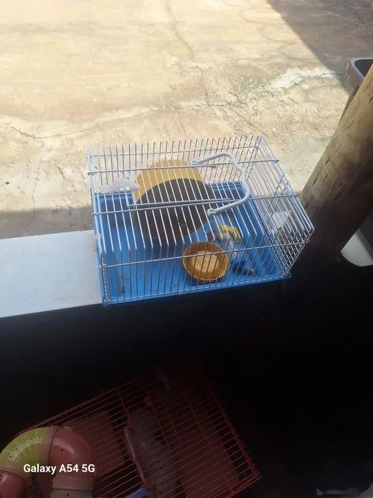 Gaiola para Roedores