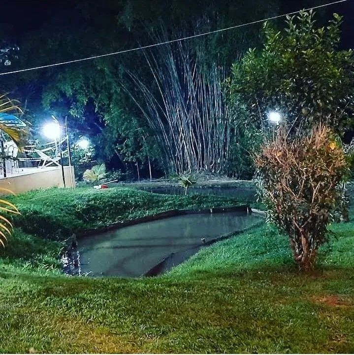 Oportunidade para você adquirir  - Foto 3