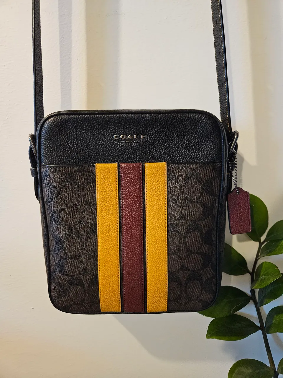 BOLSA COACH CROSSBODY HUDSON