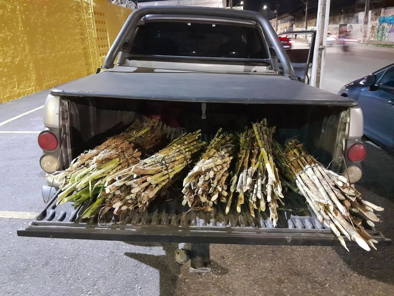 BRS CAPIAÇU E KURUMI DISPONÍVEL A VENDA 