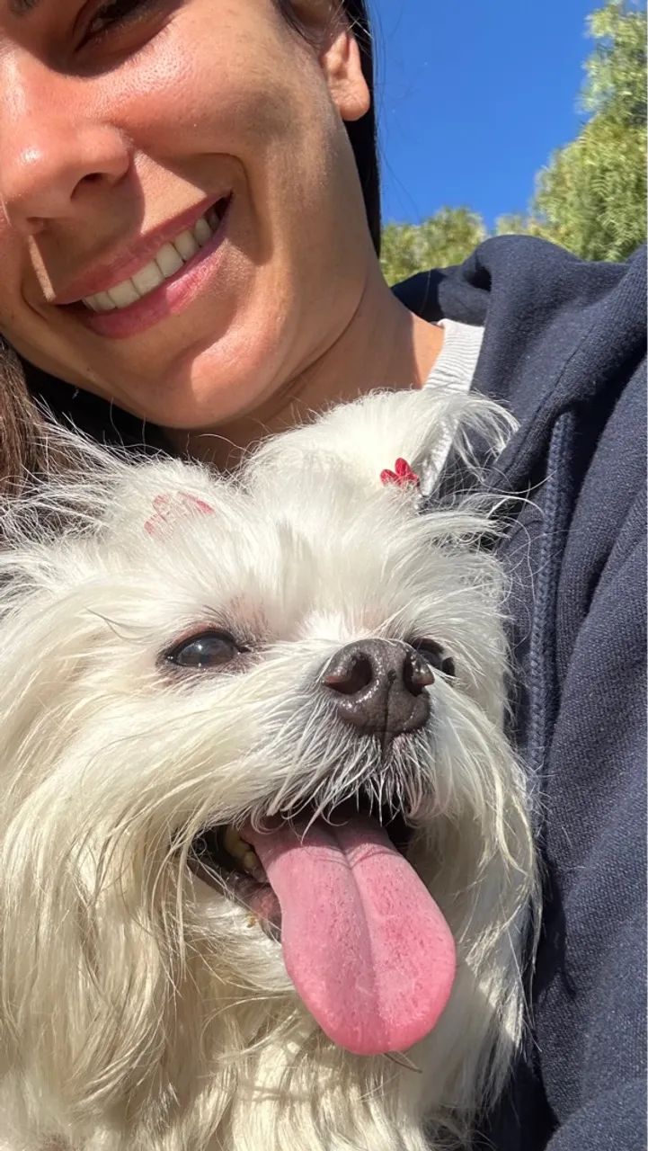 Pet sitter/Babá pet