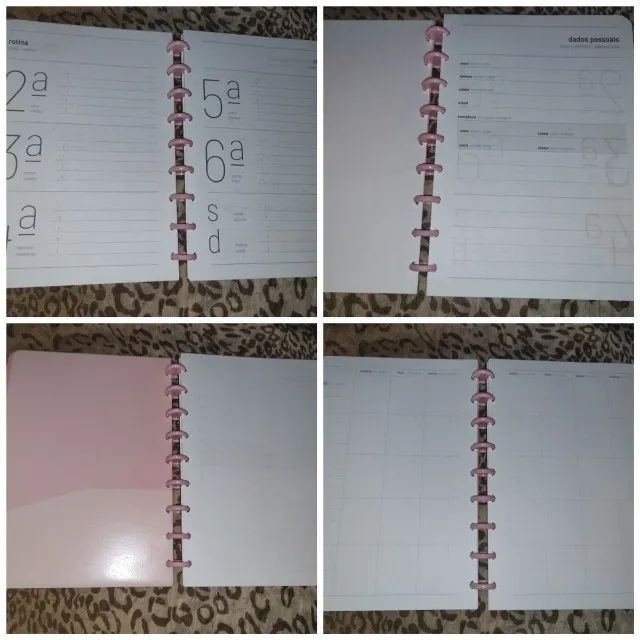 Planner de disco não datado - Foto 2