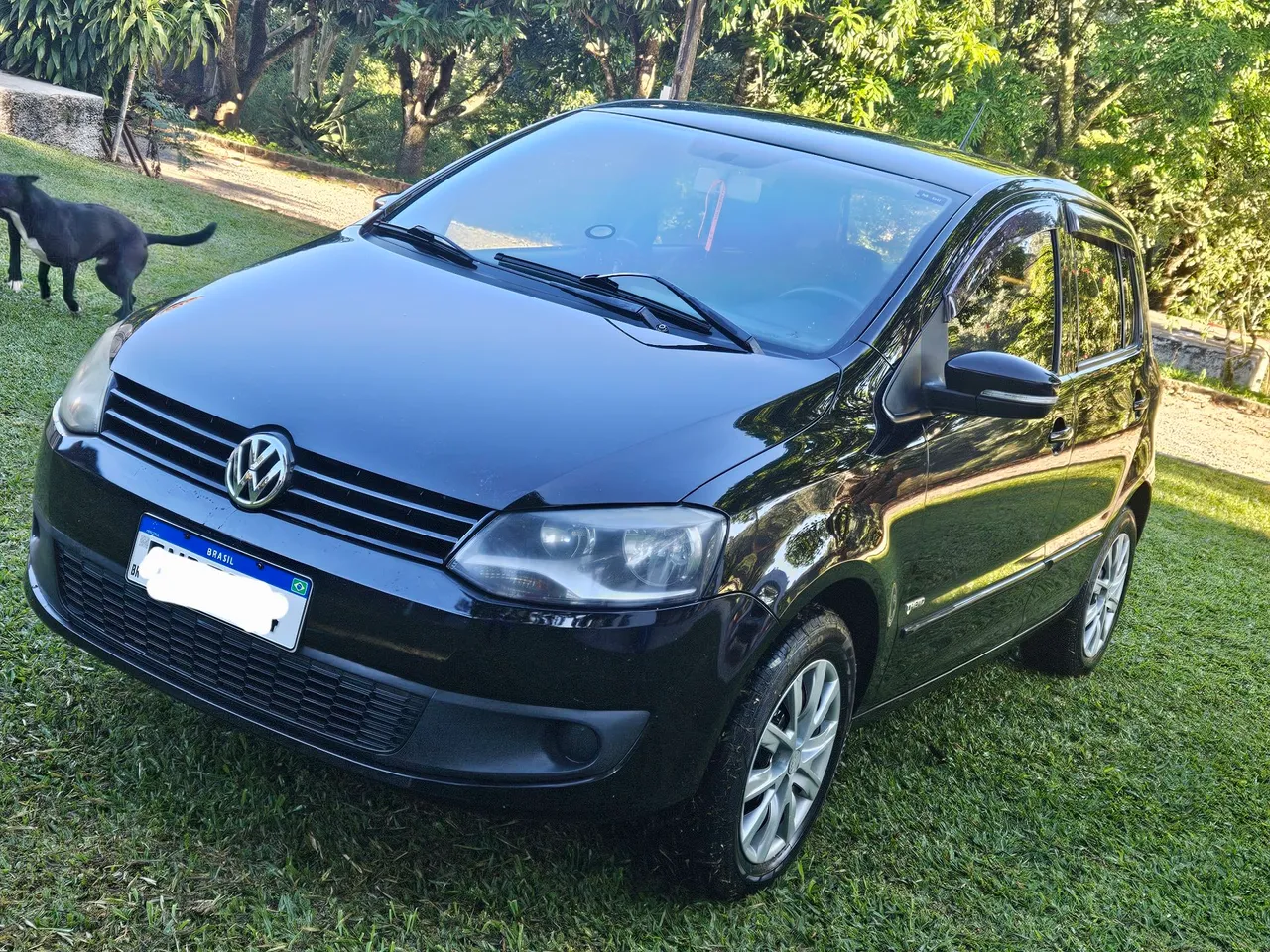 VOLKSWAGEN FOX 2010 Usados e Novos em São Paulo e região, SP