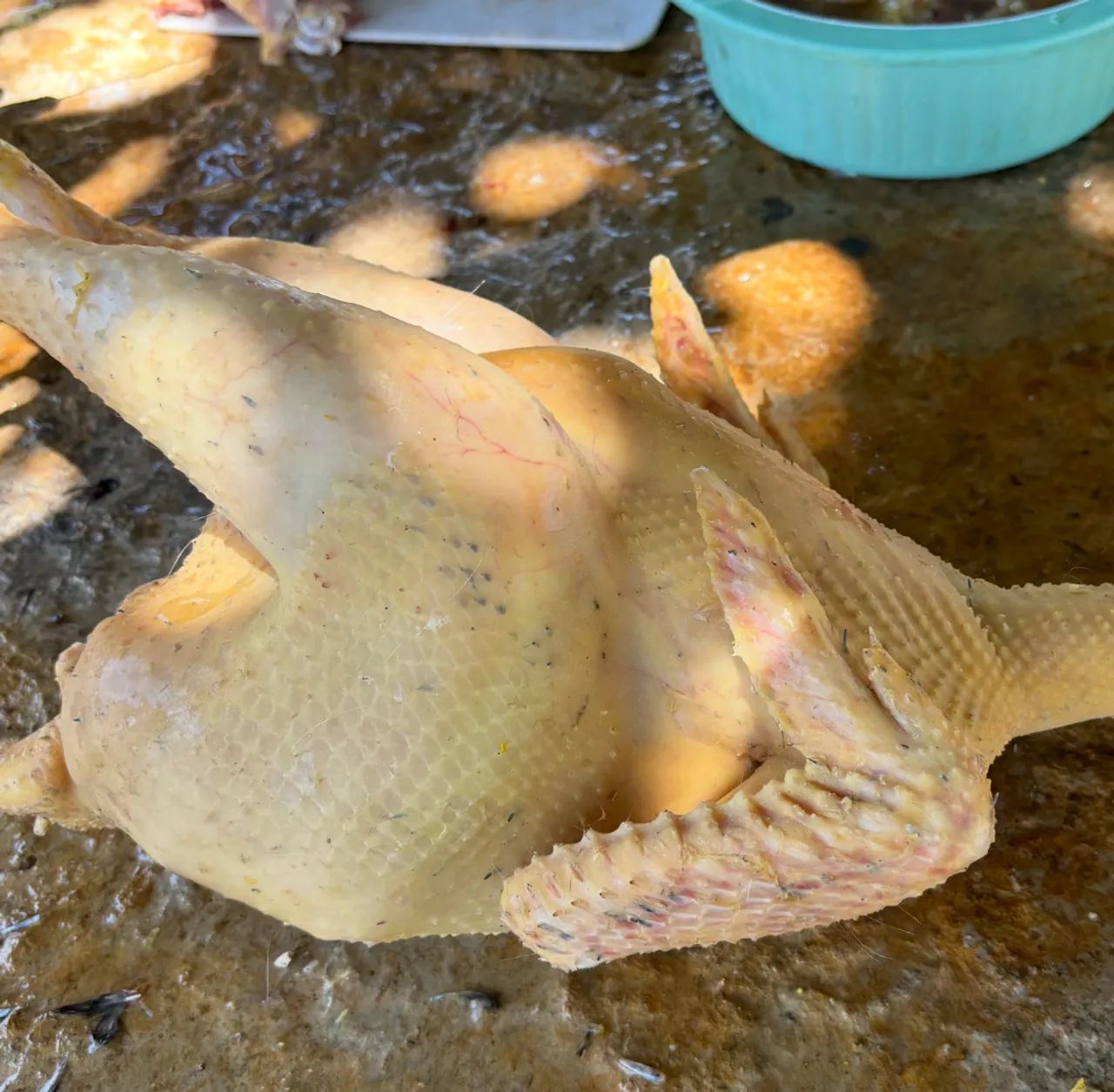 Galinha caipira tratada 